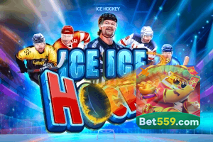 559BET feedback — categorias de sugestão e melhoria no app