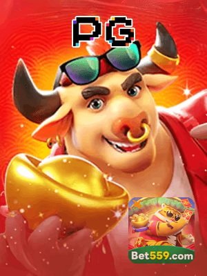 559BET cadastro — tela de formulário no app oficial