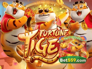 Guia install APK 559BET BR