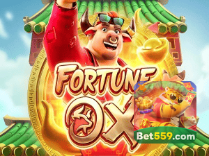 559BET login — painel de entrada no app oficial