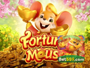 559BET login — configurações de segurança e proteção de conta